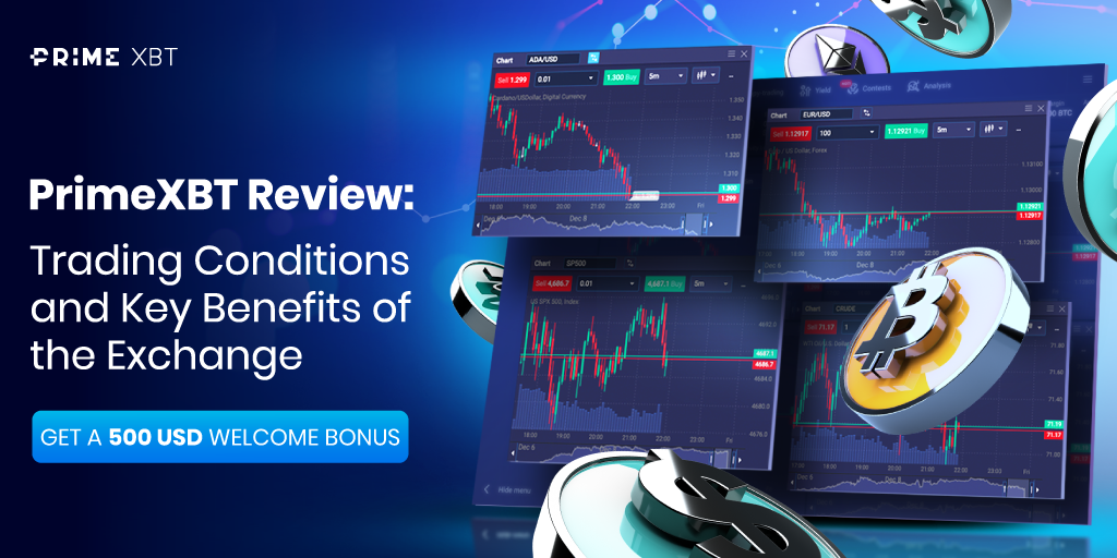Experience the Thrill of PrimeXBT Live Trading